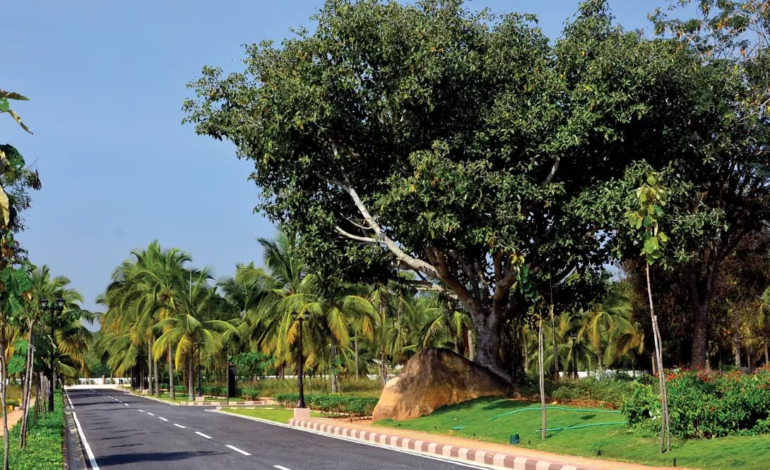 Chartered Housing | Chartered 1956 | Premium 4bhk boutique residences on Palace Road, Bengaluru | 1