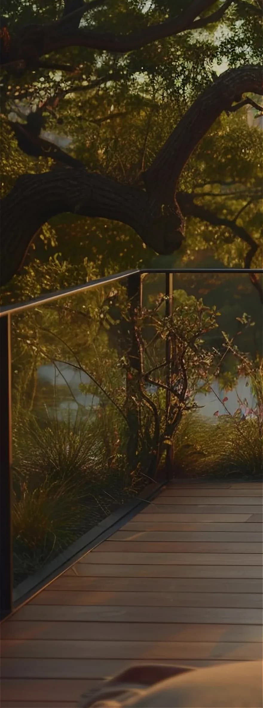 Project Overview Background