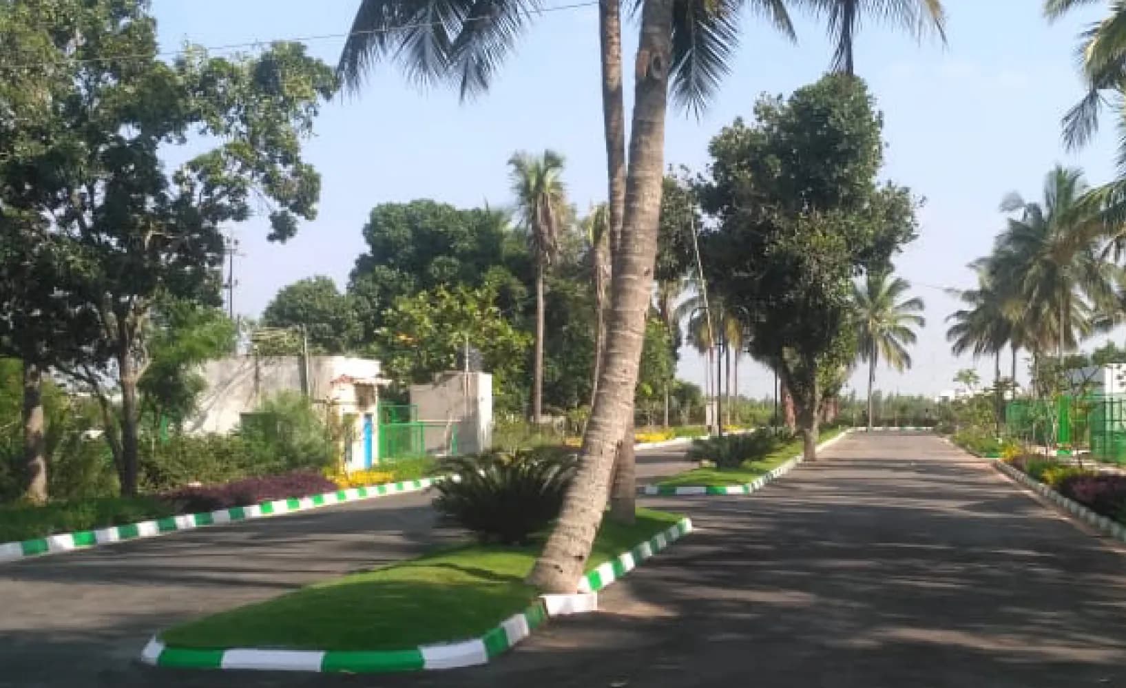 Chartered Birdsong | Premium Residential Plots at Sadenahalli on Yelahanka–Doddaballapur Highway, Bengaluru | 1