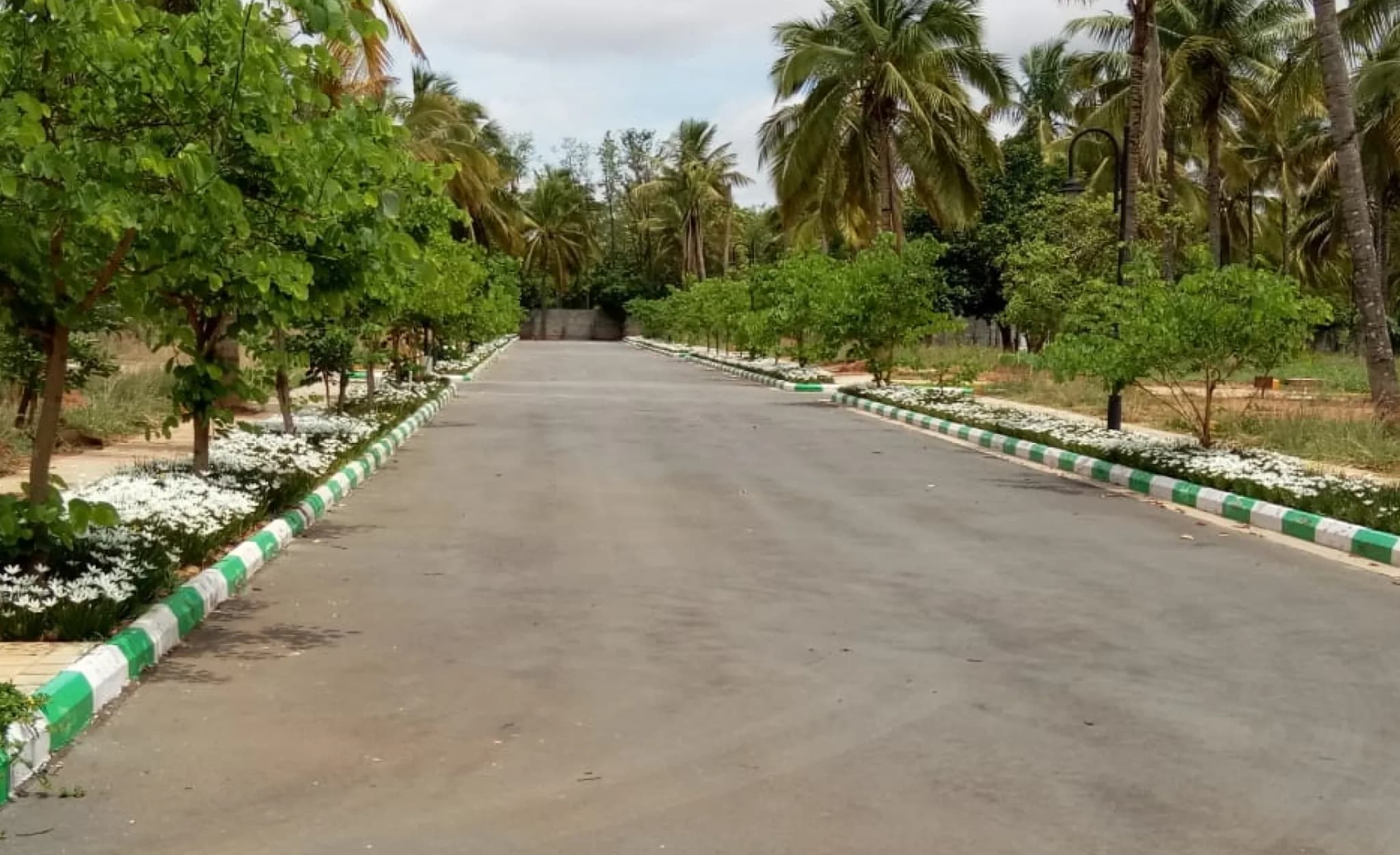 Chartered Birdsong | Premium Residential Plots at Sadenahalli on Yelahanka–Doddaballapur Highway, Bengaluru | 2