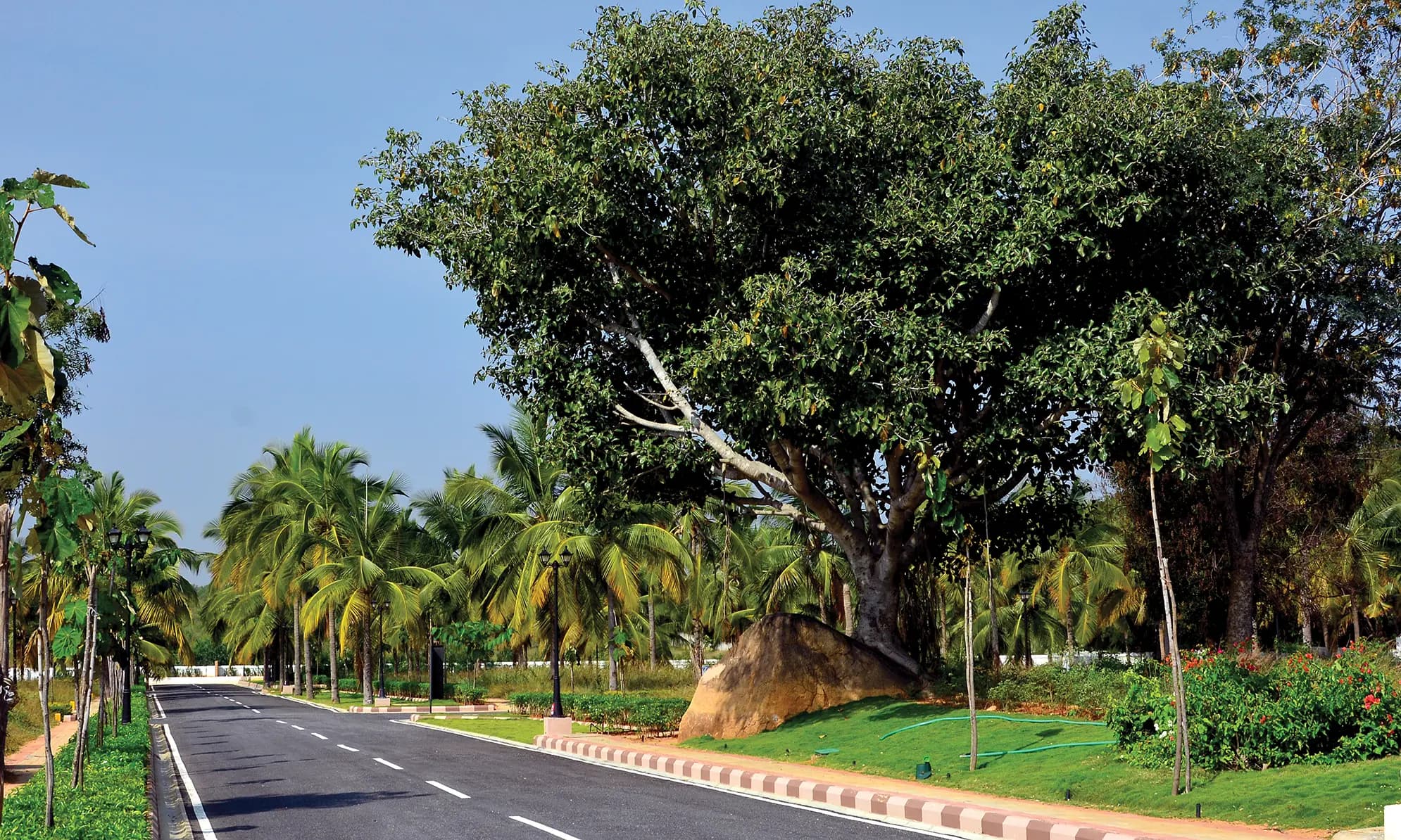 Chartered Housing | Chartered Gulmohar | Premium Plotted Development in Nelamangala, Bengaluru