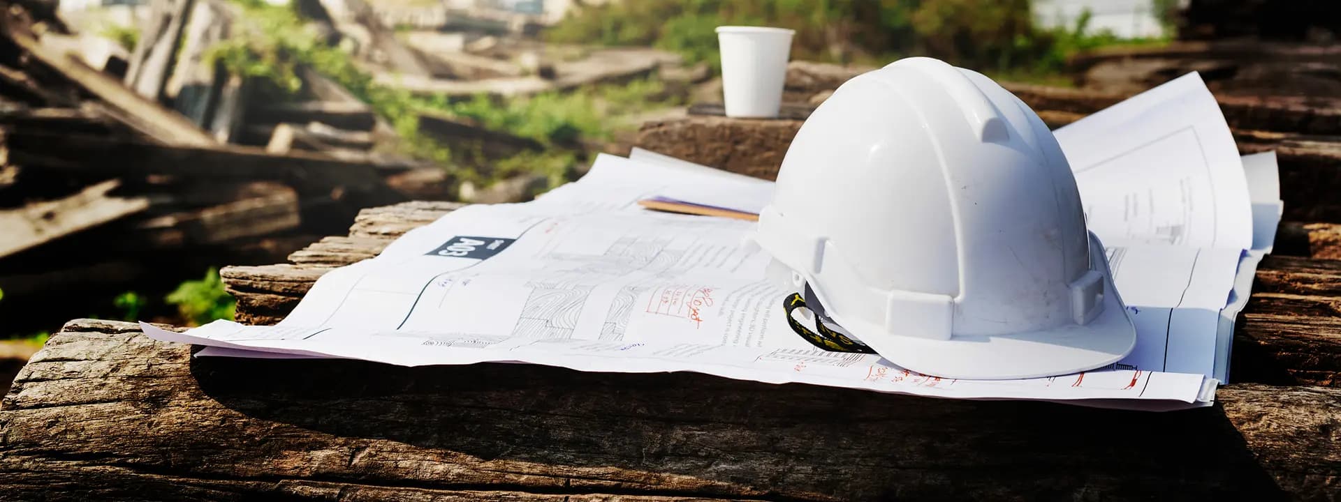 Project Details Background