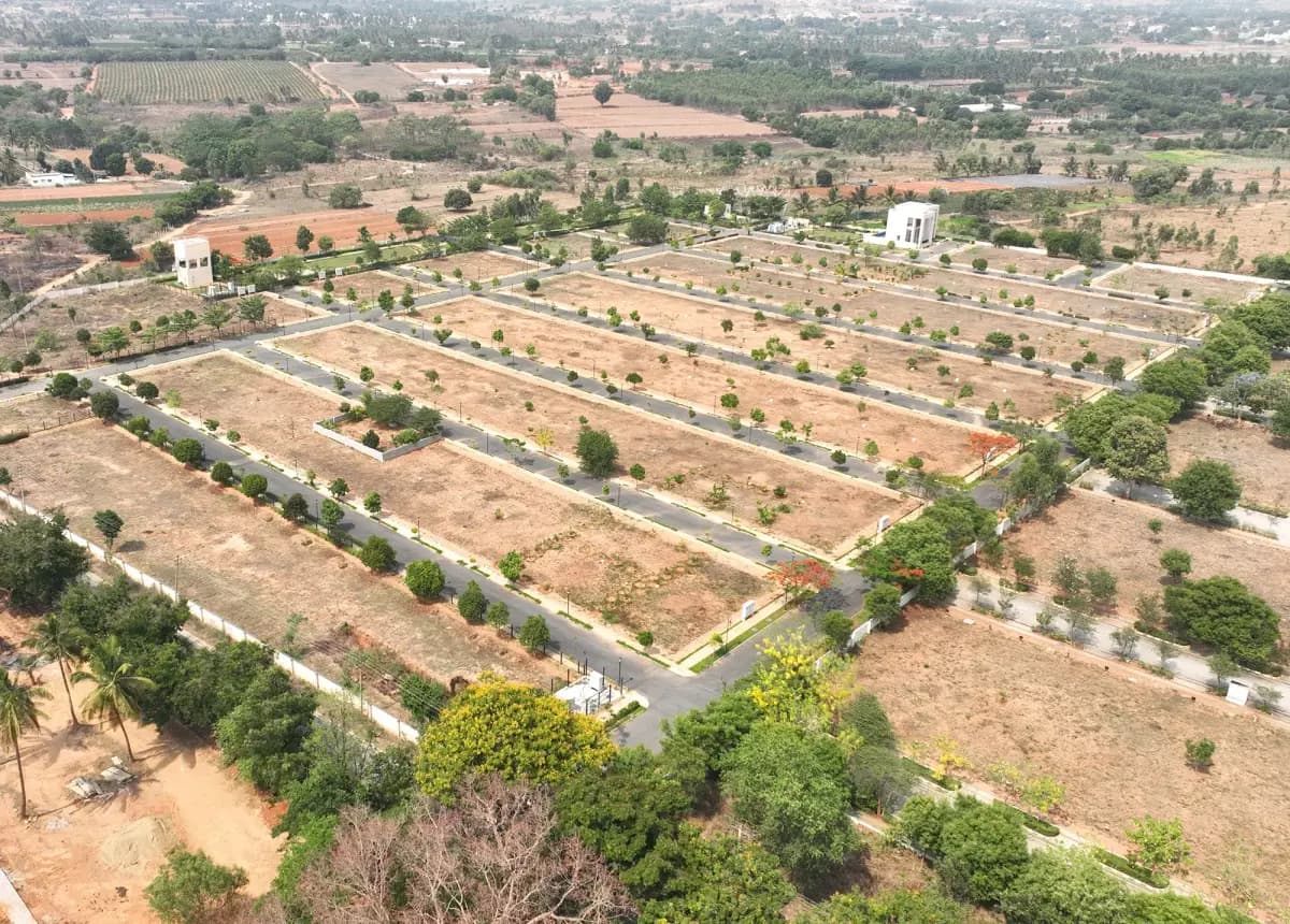 Chartered Gulmohar area view