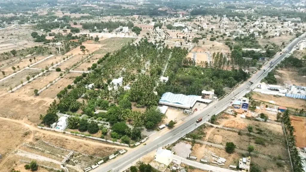 Aerial view of a Chartered plotted layout showing roads and tree cover
